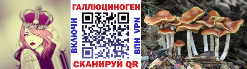 Галлюциногенные грибы Magic Shrooms  Купить где  Камышин 